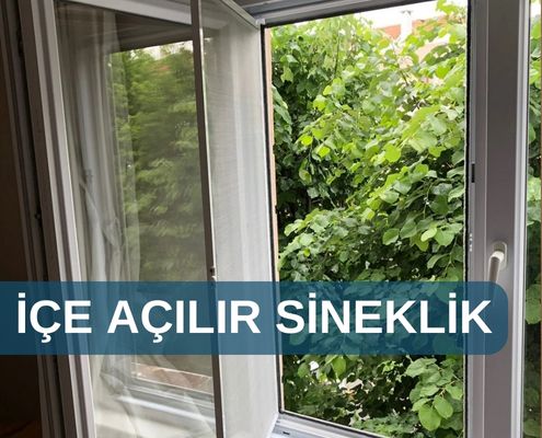 Ice Acilir Sineklik