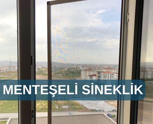 Menteseli Sineklik